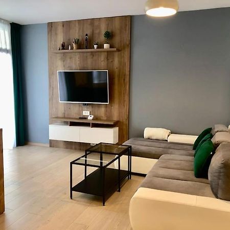 טימישוארה Joy City Stay Vivalia V5-9 מראה חיצוני תמונה