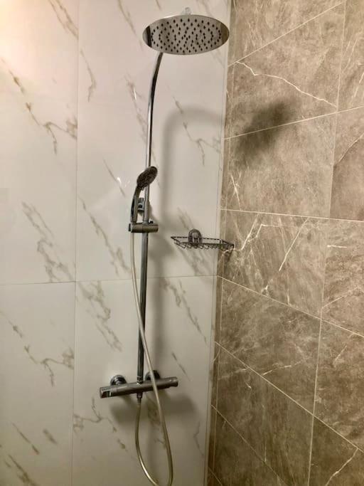 טימישוארה Joy City Stay Vivalia V5-9 מראה חיצוני תמונה