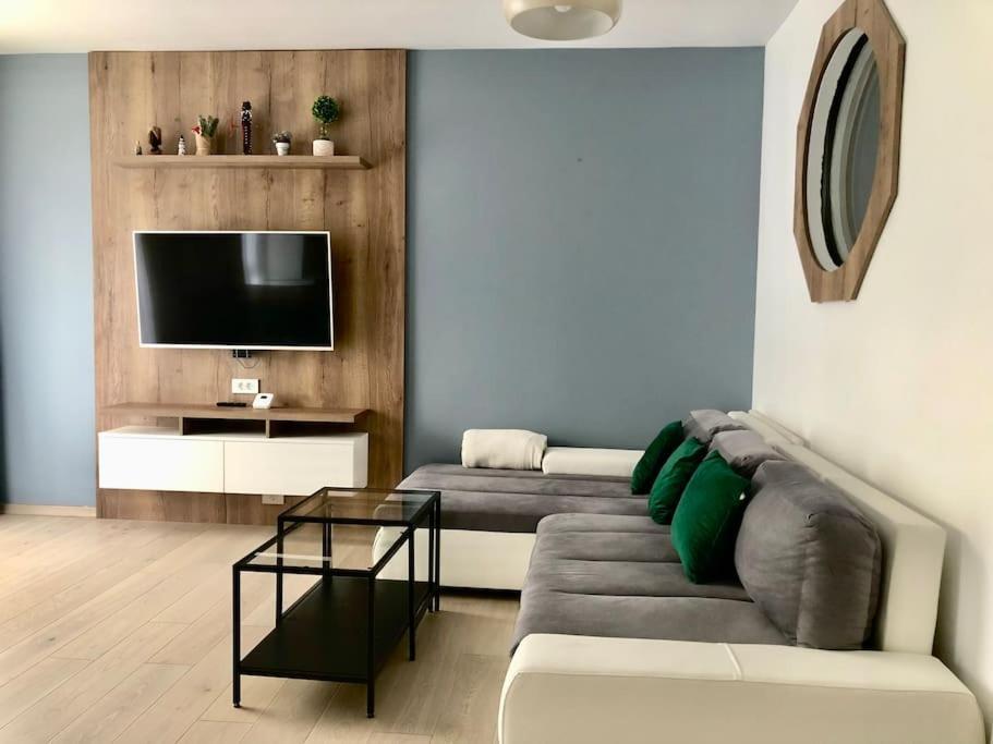 טימישוארה Joy City Stay Vivalia V5-9 מראה חיצוני תמונה