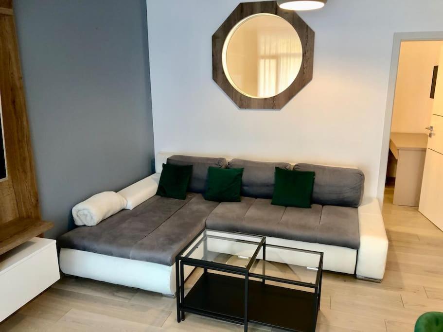 טימישוארה Joy City Stay Vivalia V5-9 מראה חיצוני תמונה