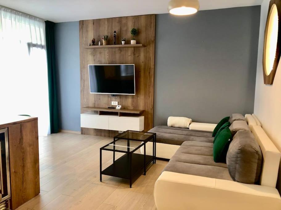 טימישוארה Joy City Stay Vivalia V5-9 מראה חיצוני תמונה